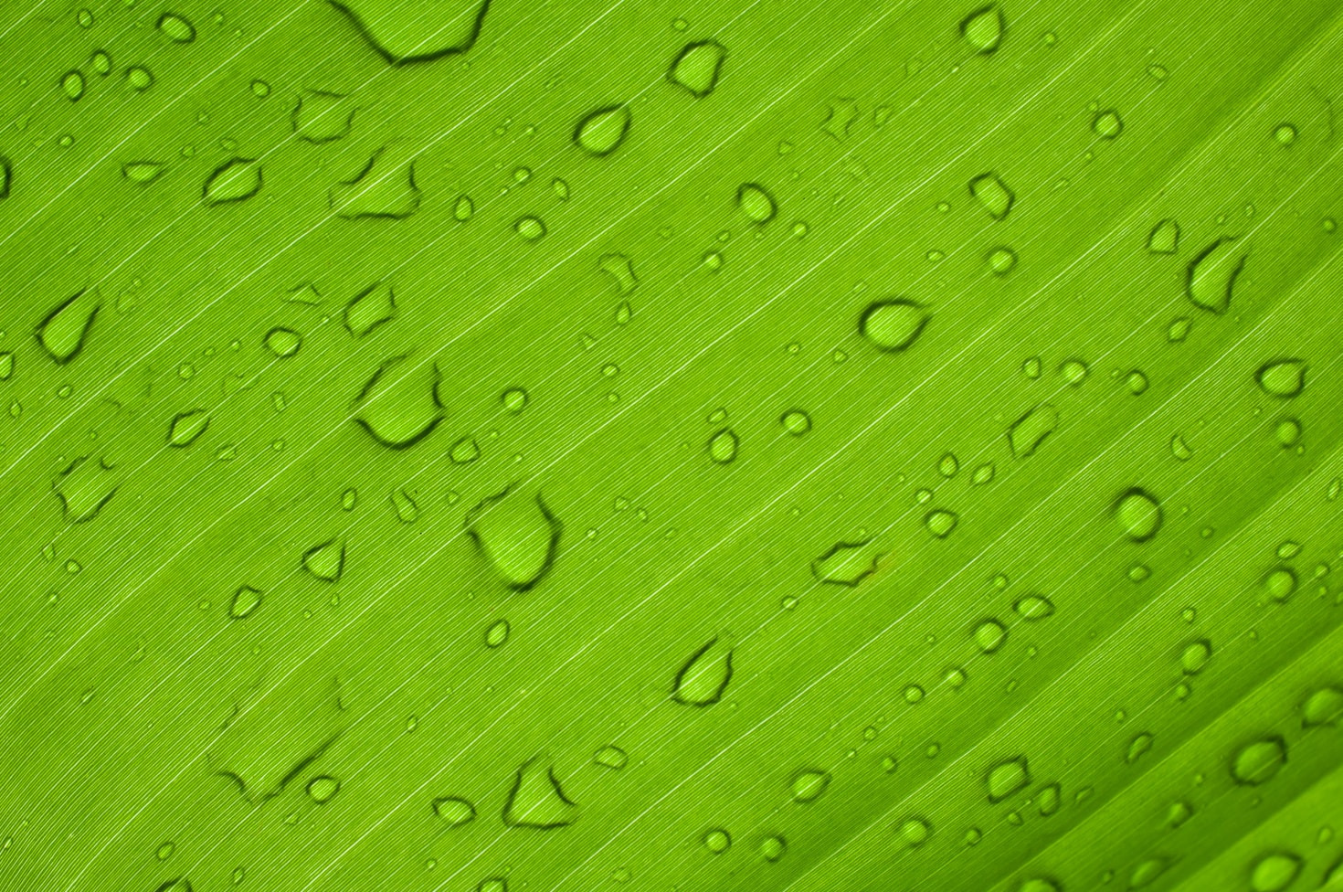 Les défis du traitement des eaux usées et nos solutions